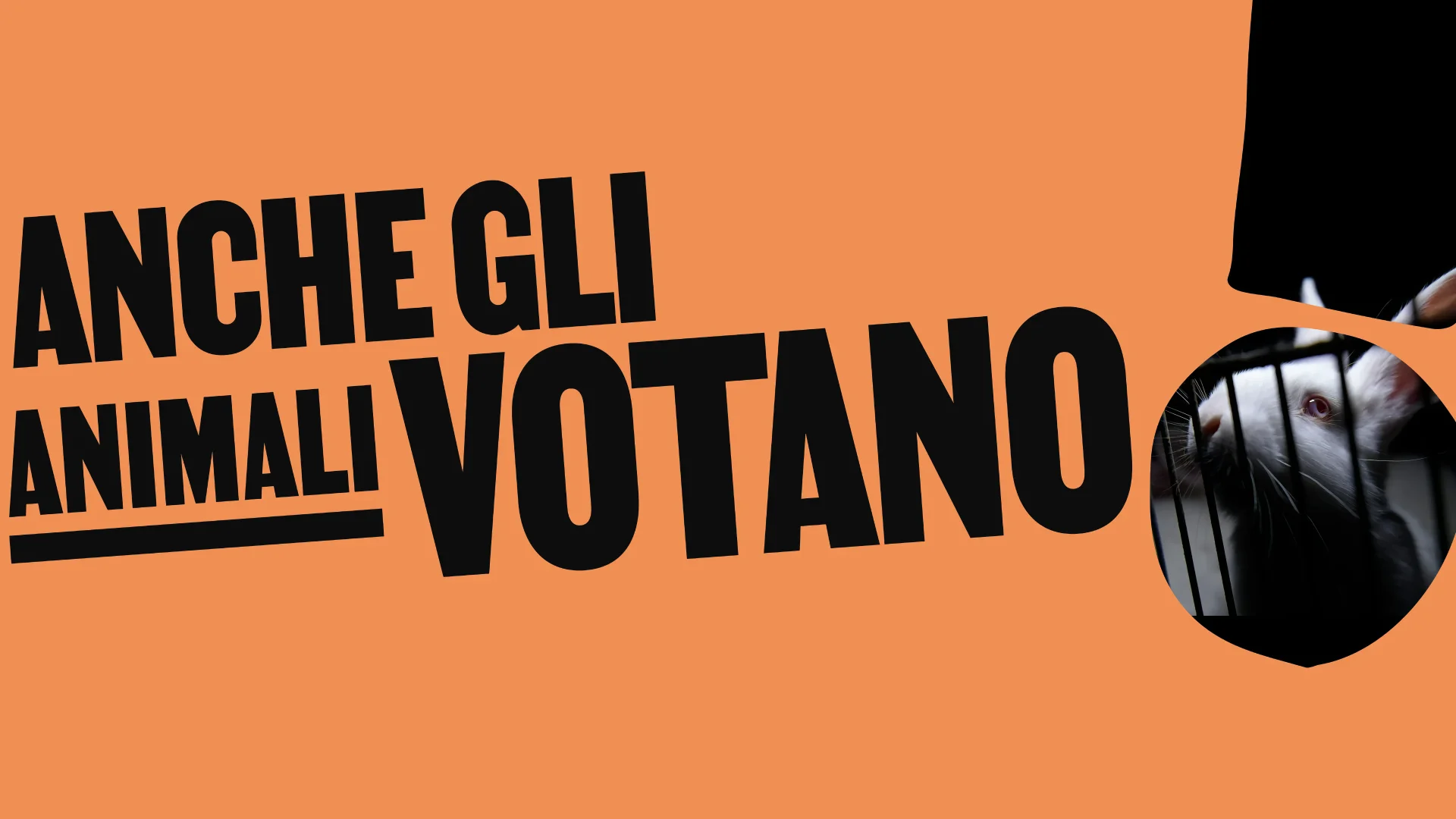 (c) Voteforanimals.it